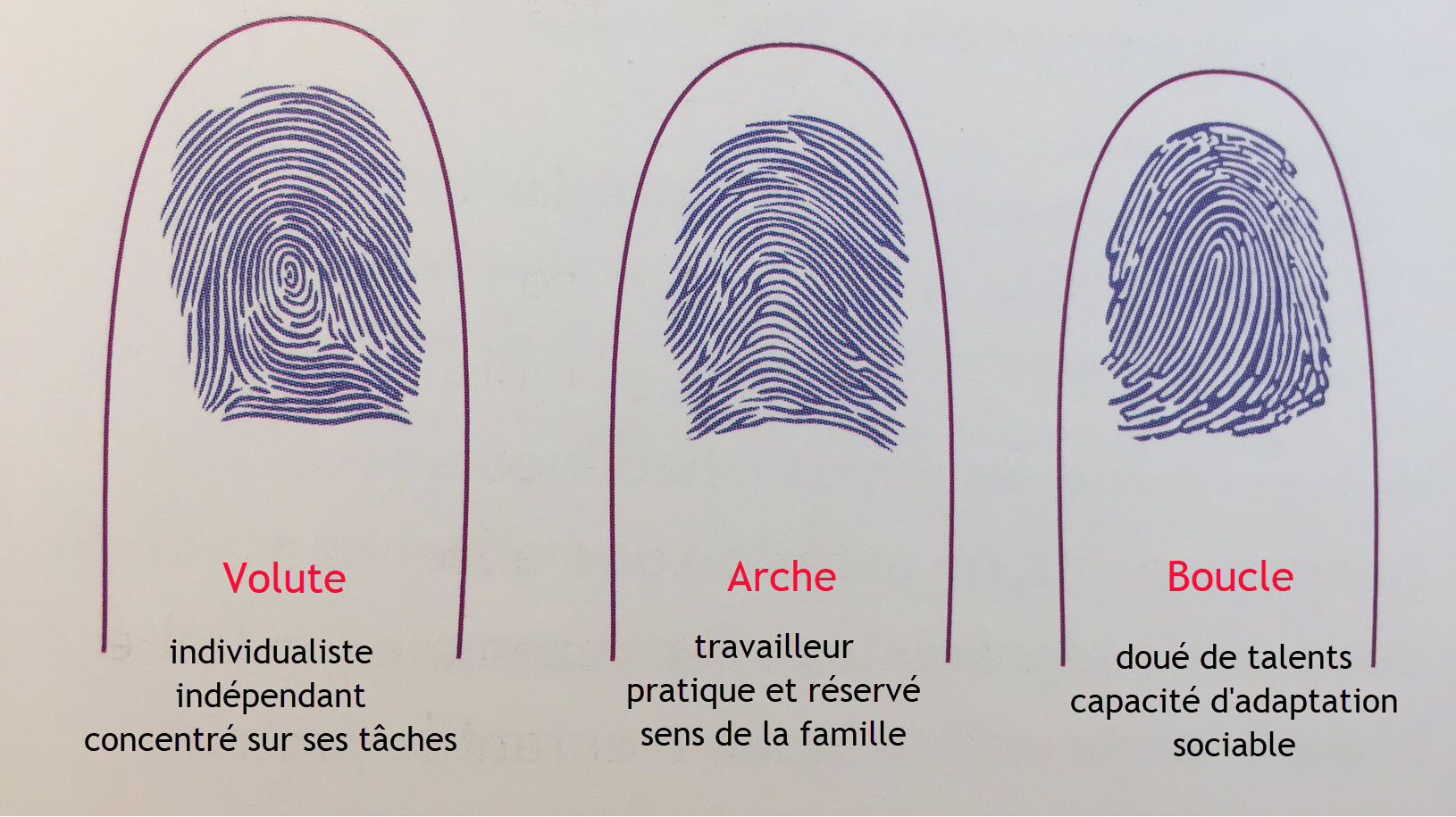 Nos empreintes sont immuables et individuelles - Chirogo